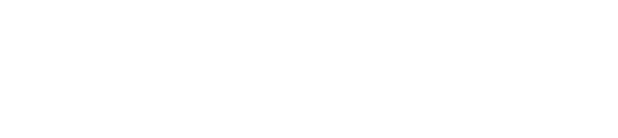 Logo: Disability para más de 50 años