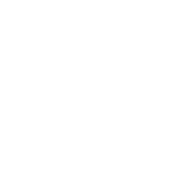 Nosscr Logo